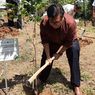Turunkan Emisi Karbon, 15.000 Pohon Ditanam di Hutan Kampus IPB
