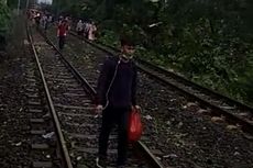 Pohon Tumbang di Jalur Rel Kebayoran Lama, KRL Tak Bisa Melintas