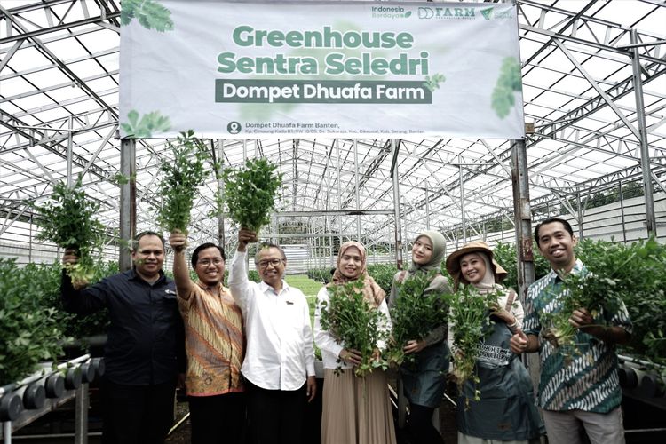 Dompet Dhuafa melalui cabang Banten menggelar panen perdana Greenhouse Sentra Seledri di Kampung Cimaung Kadu, Kabupaten Serang, greenhouse seluas 2.000 m², pada Senin (10/2/2025) lalu. Program tersebut merupakan implementasi dari zakat produktif memberdayakan empat orang penerima manfaat langsung yaitu petani lokal, dan belasan mahasiswa penerima beasiswa.
