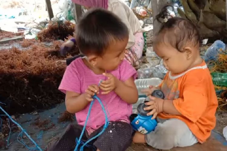 Tangkapan layar dari video di medsos yang tengah menjadi sorotan DSP3A Nunukan Kaltara. Fenomena Balita ikut orang tua bekerja di mess rumput laut tengah menjadi pembahasan khusus Pemda Nunukan