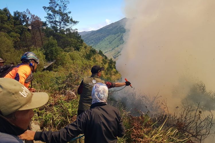 Kebakaran Gunung Bromo Meluas Hingga 50 Hektare, Api Belum Padam
