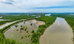 Saat Mangrove Menjadi Penopang Ekonomi dan Harapan Baru Warga Pesisir