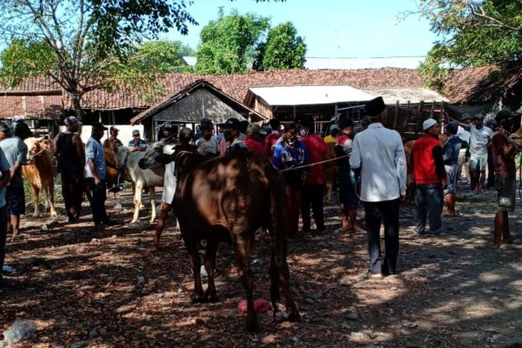 Pedagang sapi di Desa Besuk Agung menerobos dan membuka paksa pasar hewan. 