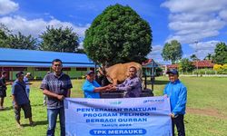 Pelindo Petikemas Salurkan 215 Hewan Kurban untuk Masyarakat