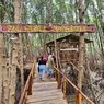 Cerita 9 Tahun Merawat Mangrove hingga Jadi Ikon Wisata Baru Pasuruan 