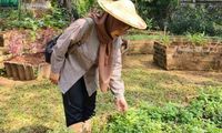 Belajar Ketahanan Pangan dari Hutan Kota di Seniman Pangan