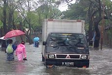 Sering Banjir, Sudin PU Tata Air Anggarkan Rp 10 M untuk RPH dan Karantina Babi