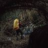 Cerita Pendaki Gunung Prau via Igirmranak: Lewat Terowongan Unik