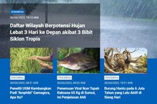 [POPULER SAINS] Potensi Hujan Lebat akibat 3 Bibit Siklon Tropis | Padi Amphibi | Burung Hantu Aktif di Siang Hari