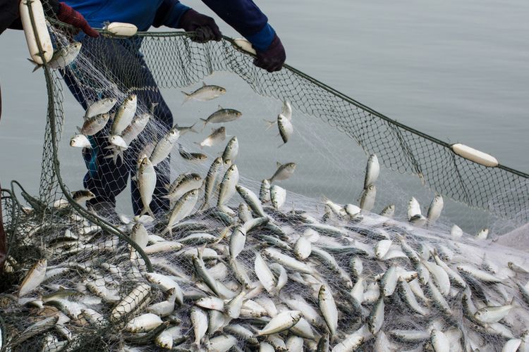 J Trust Bank Salurkan Pembiayaan Mikro untuk Kelompok Nelayan
