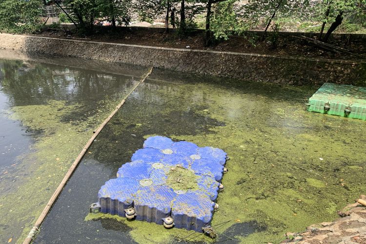 Lumut dan Gulma Menumpuk di Waduk Cawang Jaktim, Warga Sebut Pembersihan Tak Rutin