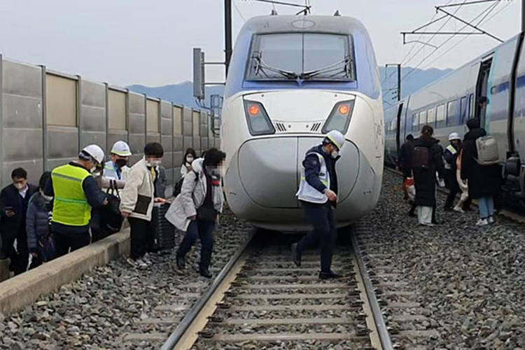 Kilas Balik Kereta Cepat KTX-Sancheon Anjlok di Korsel: dari 303 Penumpang, Hanya 7 Terluka