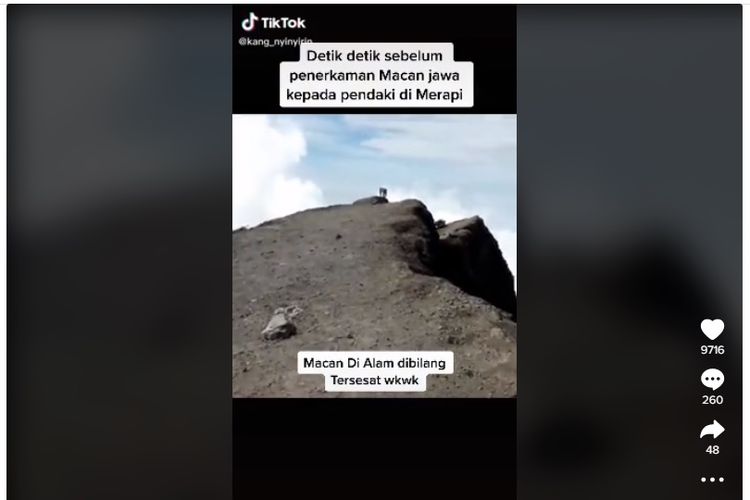 Tangkapan layar video TikTok yang menyebut macan Jawa menerkam pendaki di Gunung Merapi.