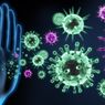 Studi: Flu Biasa Melatih Sistem Kekebalan Tubuh Mengenali Covid-19