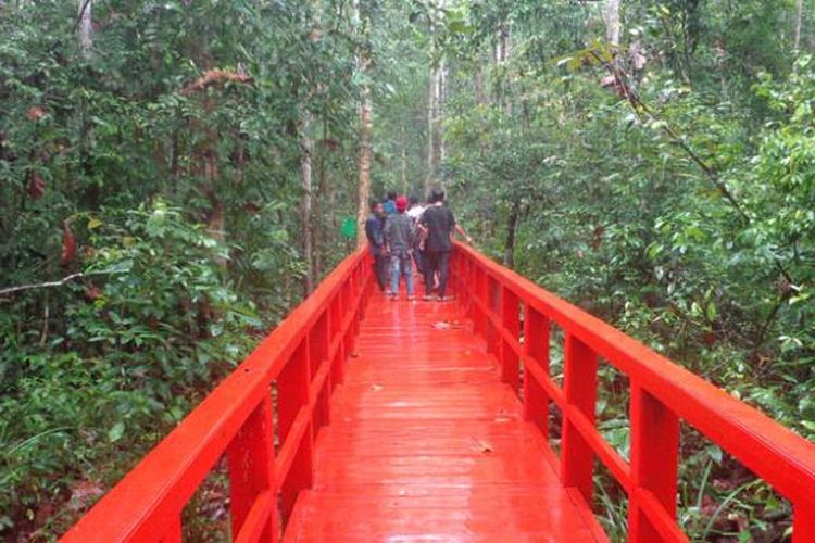 Hutan Pelawan di Kabupaten Bangka Tengah sebagai salah satu obyek wisata di Provinsi Bangka Belitung.