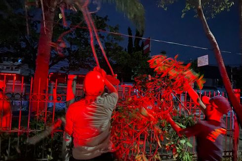 Tersambar Truk Kontainer, Pohon Besar di Daan Mogot Tumbang 