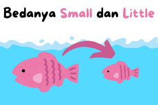 Perbedaan Small dan Little dalam Bahasa Inggris