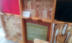 Startup MYCL Ubah Limbah Pertanian Jadi Biomaterial Pengganti Plastik