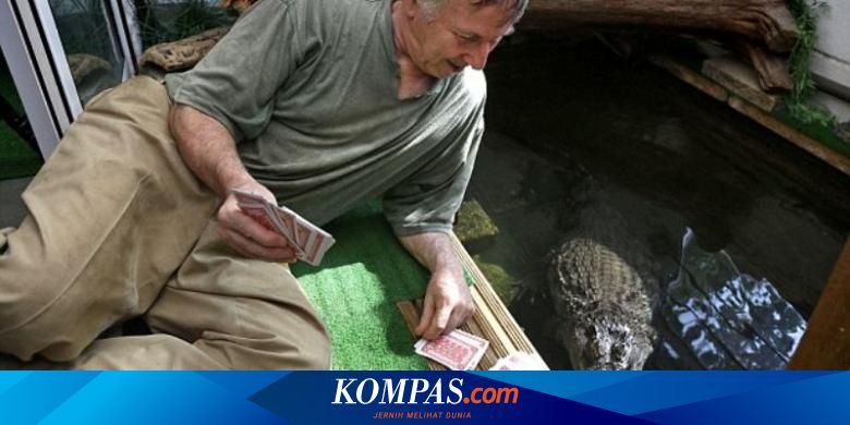Isi Hari Tua Pensiunan Sipir Di Inggris Pelihara Buaya Halaman All Kompas Com