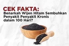 INFOGRAFIK: Benarkah Wijen Hitam Dapat Menyembuhkan Penyakit Kronis?