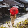 White Day, Strategi Promosi yang Jadi Tradisi Romantis di Jepang
