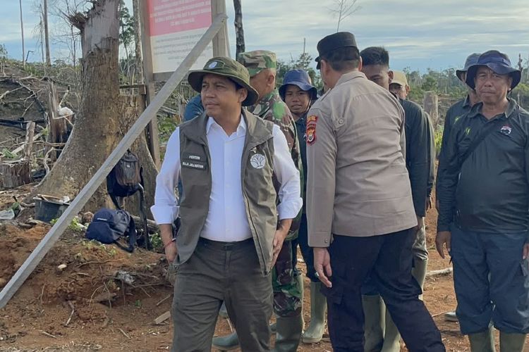 Habitat Gajah Sumatera di Bentang Alam Seblat Terus Dirambah, Warga Tagih Janji Menhut