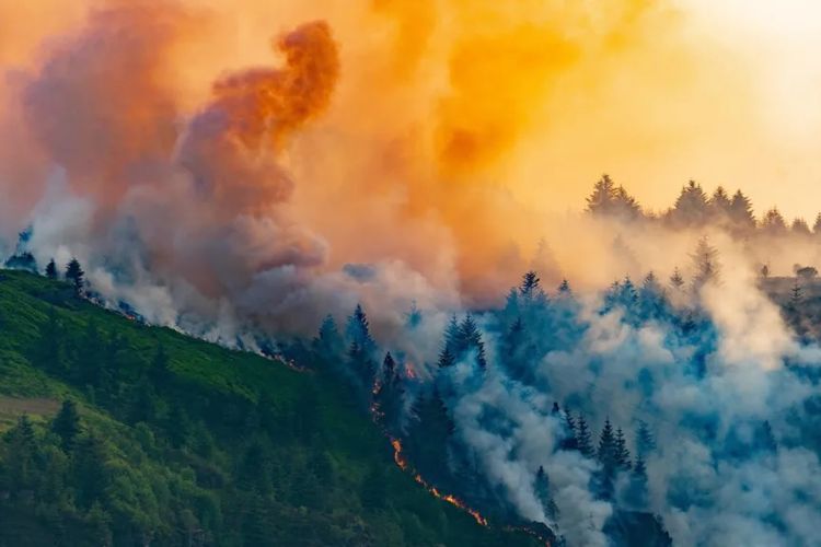 Kebakaran di Rhigos Mountain di selatan Wales pada Juni 2023.