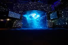 Cuma di Jepang, Panorama Hamparan Bintang di Tengah Akuarium