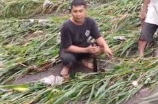 Dua Jalan, Satu Tujuan