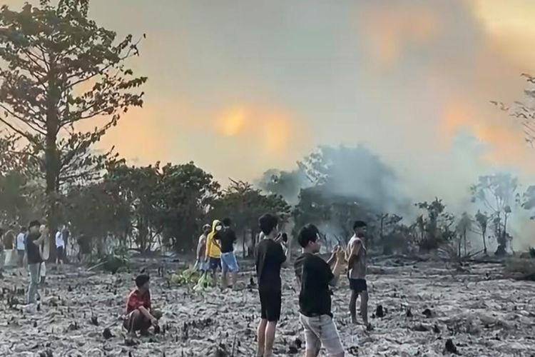 Soal Bibit Sawit di Lahan Karhutla Morowali, Kadisbun Sulteng: Hoaks