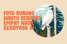 INFOGRAFIK: Foto Burung Hantu Berkaki Empat Hasil Rekayasa AI