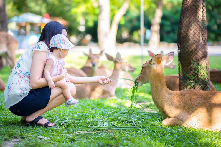 Ilustrasi kebun binatang bersama anak.