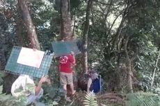 2 Macan Tutul Masuk Kebun Warga Kuningan, BKSDA Jabar Pasang Perangkap