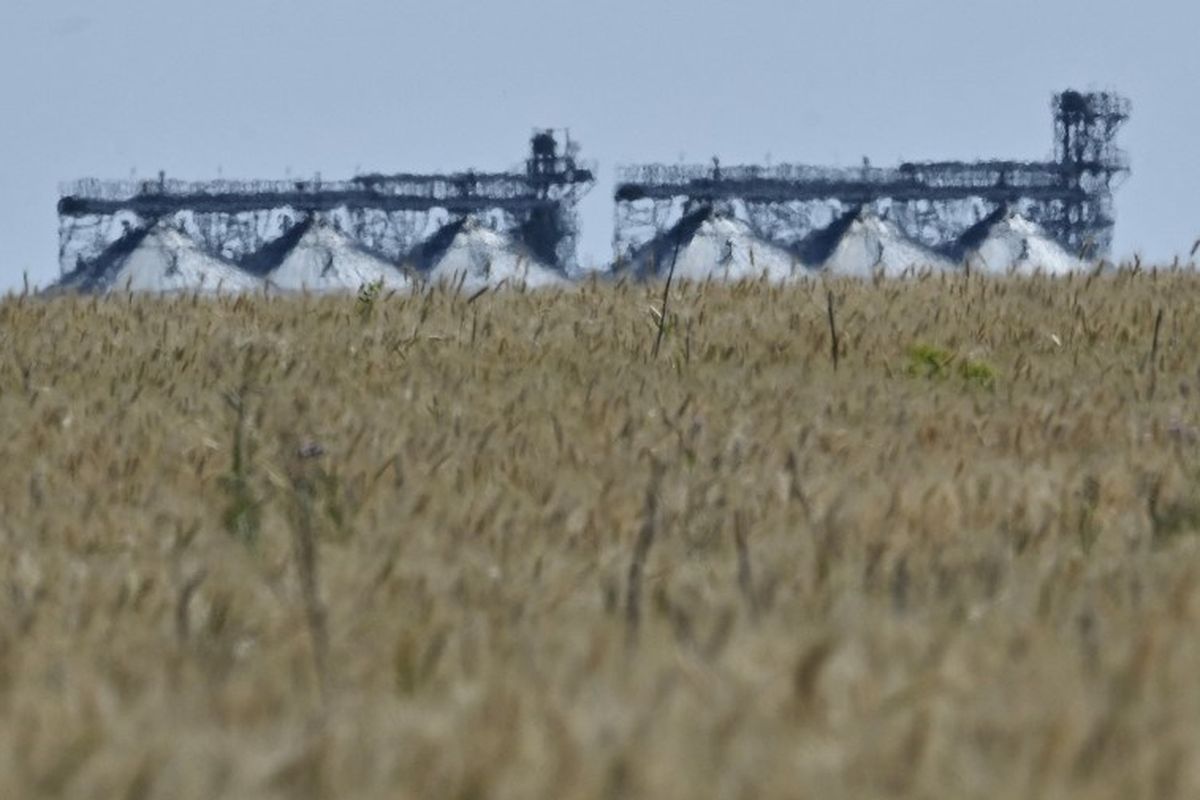 Lahan gandum Ukraina di Donbass pada 1 Juli 2022. Ekspor gandum Ukraina bisa segera dibuka lagi setelah Rusia menyelesaikan dokumen akhir, kata juru bicara Kementerian Pertahanan Rusia Igor Konashenkov, Jumat (15/7/2022).
