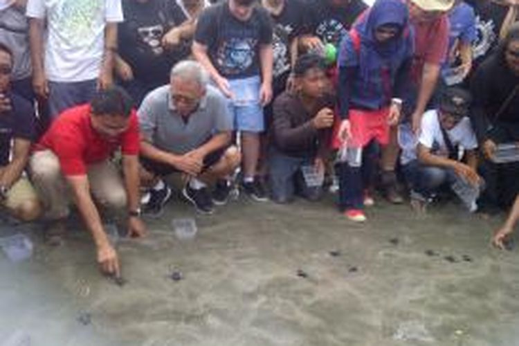 Iwan Fals (jongkok bercelana pendek), melepas bayi penyu atau tukik di Pantai Kuta, Badung, Bali, Minggu (15/3/2015).