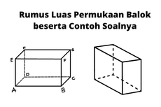 Rumus Luas Permukaan Balok beserta Contoh Soalnya