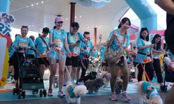 Keseruan PAWJOG 9, Ajak Anabul Olahraga Bareng Pawrents