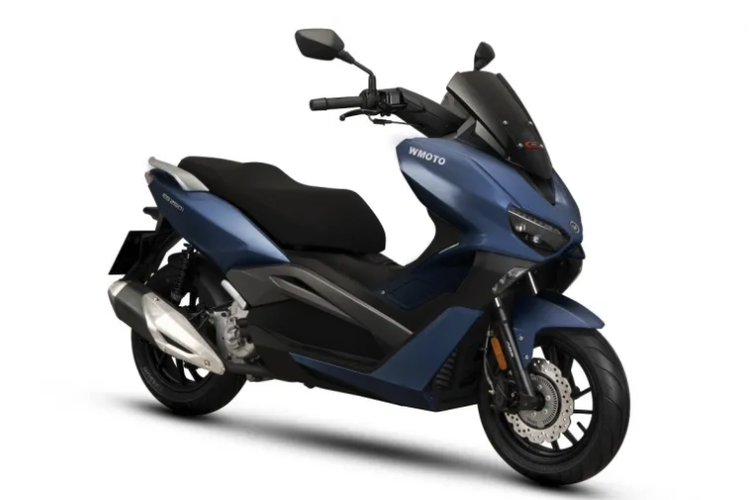 WMoto ES250i 2022 