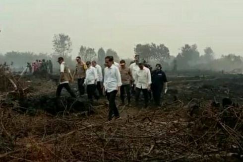 Jokowi Klaim Telah Lakukan Upaya Ini untuk Padamkam Kebakaran Hutan di Riau