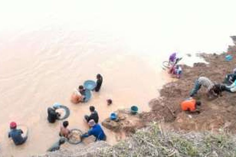 Warga di Tebo Ulu berbondong-bondong mencari emas, Minggu (31/7/2016), setelah dikabarkan ditemukan emas batangan Soekarno 24 karat. 