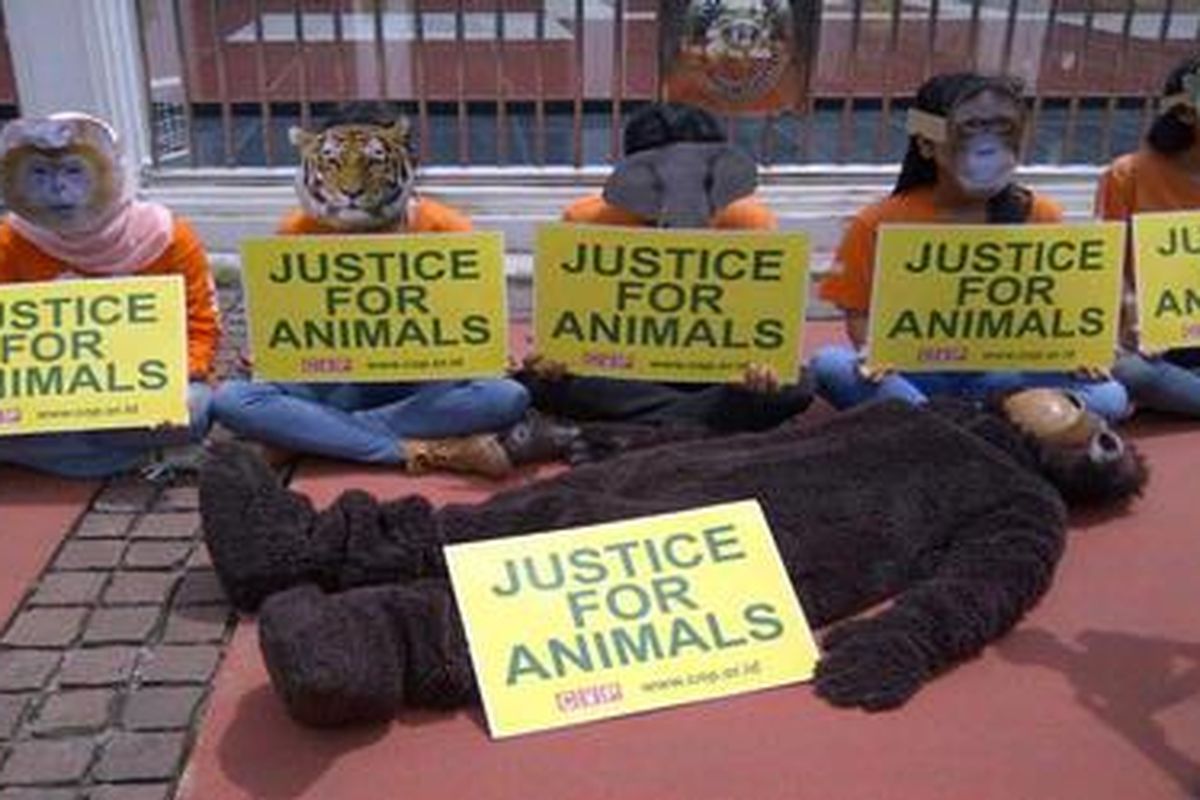 Aktivis COP saat berunjuk rasa di depan Gedung Mahkamah Agung di Jakarta, Selasa (13/3/2012) Kompas/Iwan Setiyawan  