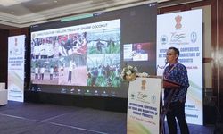 Ditjenbun Upayakan Pemasaran Kelapa Indonesia ke Pasar Internasional