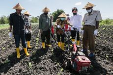 Pemerintah Ajak Swasta Terapkan Praktik Kemitraan dengan Petani