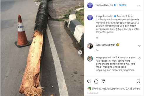 Terjadi Insiden Maut Pemotor Tertimpa Pohon Tumbang di Pondok Indah