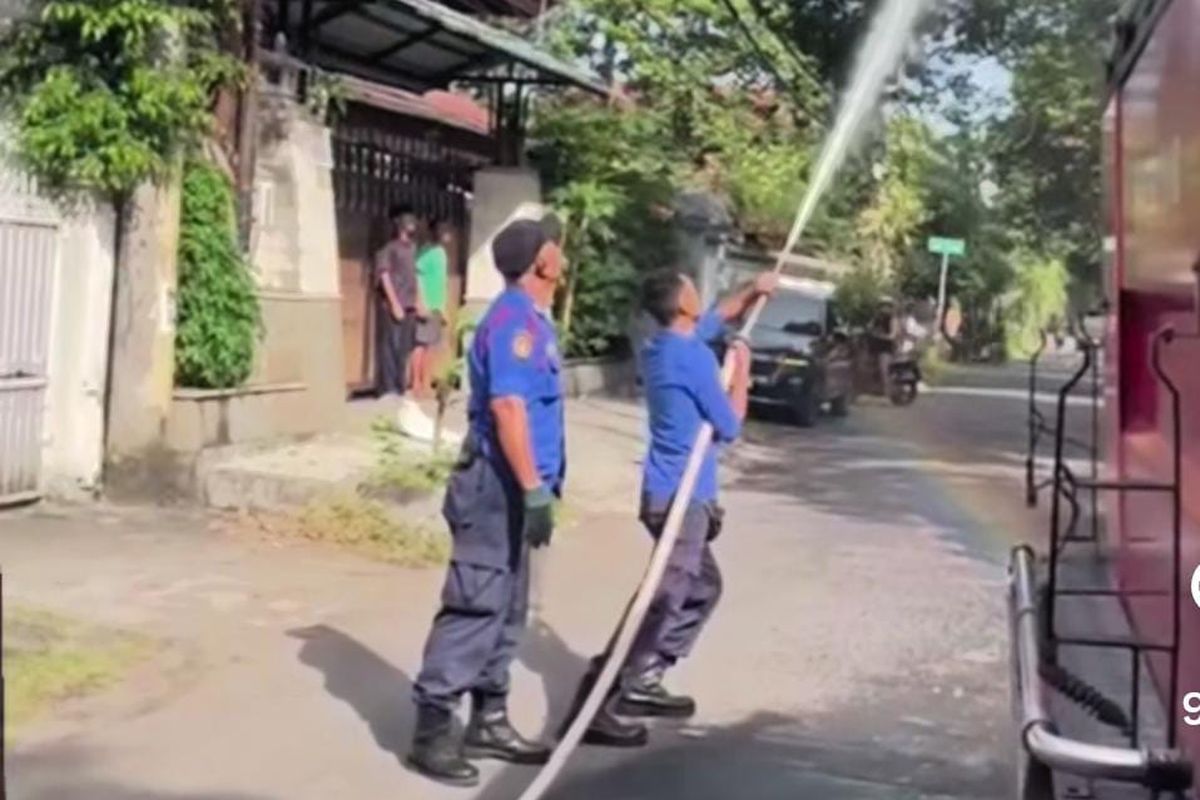 Petugas Damkarmat saat beraksi mengamankan ular di atas pohon, Senin (26/5/2025).