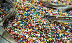 Mikroplastik Bisa Sebarkan Patogen Berbahaya, Ini Dampaknya untuk Kesehatan