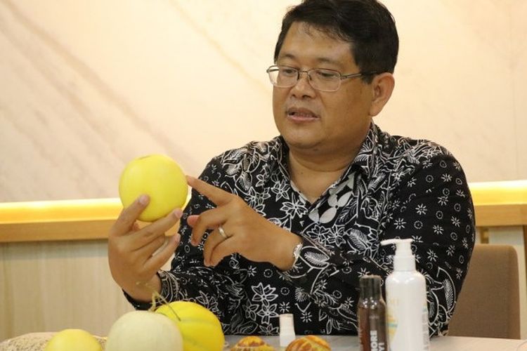 Peneliti Fakultas Biologi Universitas Gadjah Mada (UGM) Prof. Dr. Budi Setiadi Daryono., M.Agr.Sc. menunjukkan melon hikapel hasil inovasi dia dan timnya.