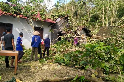Dampak Puting Beliung di Dusun Geden Kulon Progo, Rumah Rusak Tertimpa Pohon hingga Sapi Patah Punggung