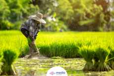 Pentingnya Pemberdayaan Petani di Indonesia