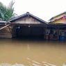 Banjir di Sambas Sudah Tiga Pekan dan Semakin Meluas, 63.519 Warga Terdampak